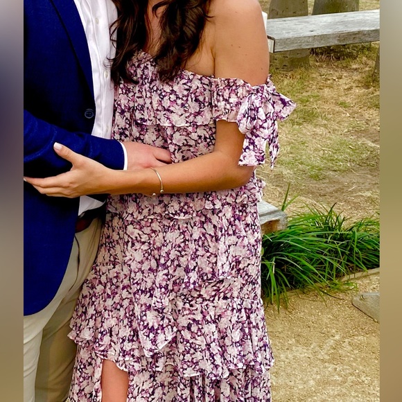 MISA Los Angeles X Revolve Isadora Dress (Size XS) - Picture 3 of 5